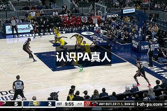 认识PA真人